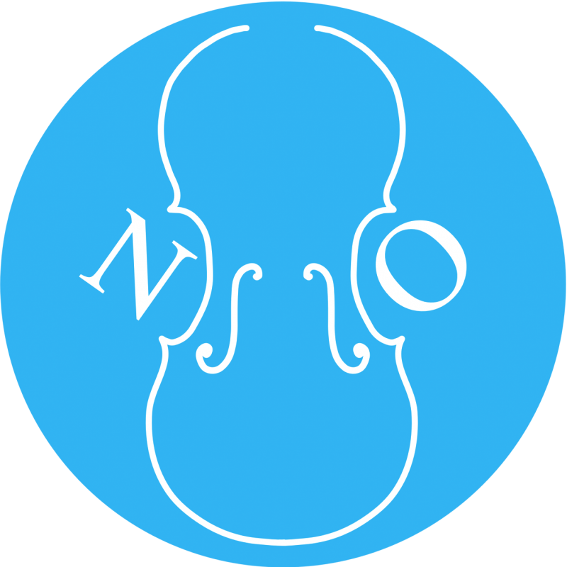 NSSO Logo